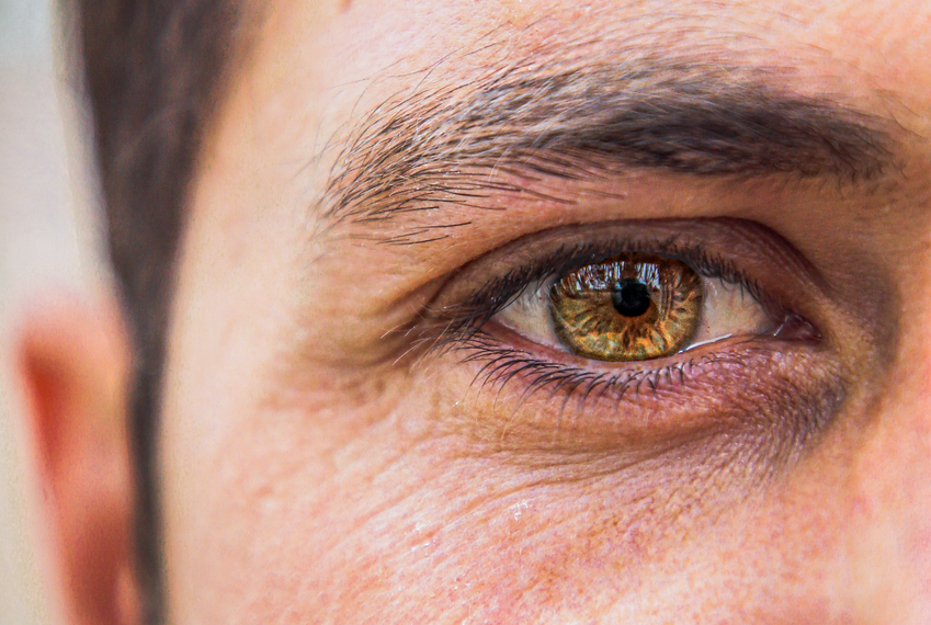 close up of a golden eye in natural light